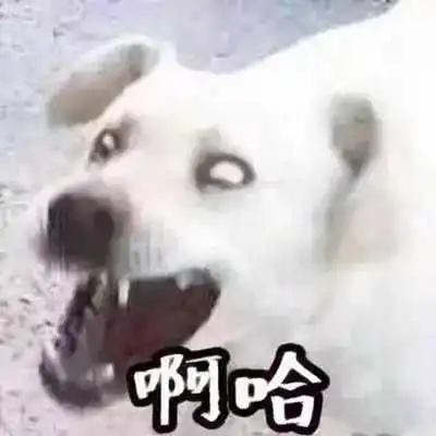 一对幽默伴侣头像2021新款
