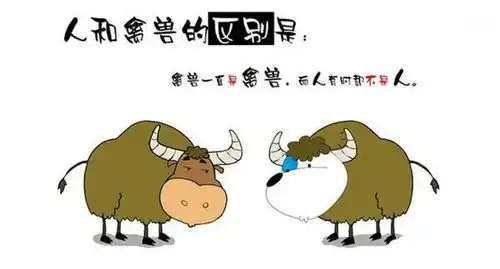 有点猥琐的冷幽默
