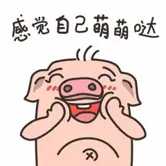 卡哇伊的猪猪和刺激好玩的桌游结合体带你收获更多惊喜
