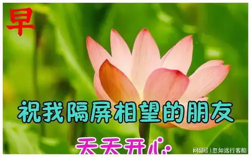 祝福朋友早上好的动态图片,最新励志哲理早安心语
