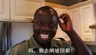 今年第11号台风尼格已生成阳江未来几天的天气简直惨不忍睹
