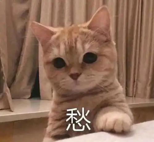搞笑gif这傻子敢在上路扶老人,你跟着他要穷一辈子
