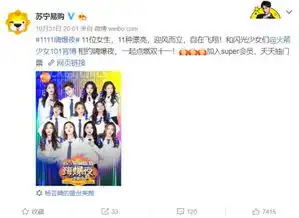 男团女团一网打尽,苏宁双十一晚会搞大事
