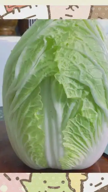 做个美味的大白菜
