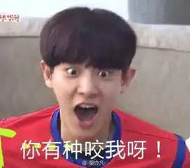 求exo恶搞带字图片
