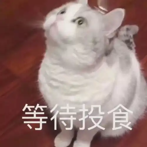 斗图小表情1.17
