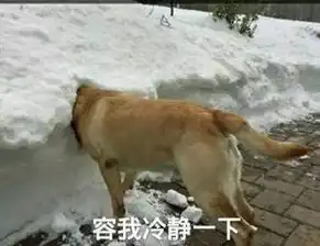 送给学生考研,你真的想好了吗
