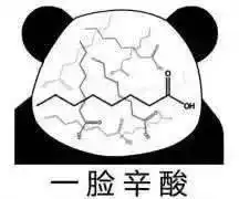 确认过表情包,我们是同一专业的人
