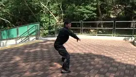 洪拳虎鹤派虎鹤双形拳下路
