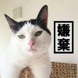 冰心两分钟单刷陆寻双开也算吧
