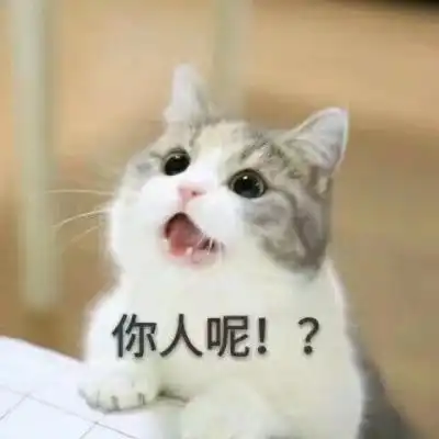 吸引人的卖萌动物带字头像可爱猫咪没心没肺才不会撕心裂肺
