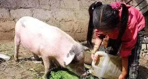 80年代中国的老照片,图3令农村人印象深刻,图9让人见识了有钱人的生活
