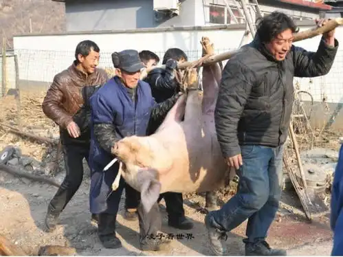 为什么农村患心脑血管疾病的人逐渐增多医生或与4个原因有关
