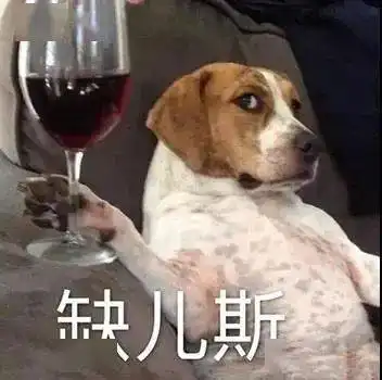 谭谈交通爆笑名场面大赏哈哈哈是不是想笑死我...
