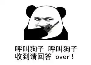 抖音狗子队长头像图片有哪些狗子队长头像图片分享求知软件网
