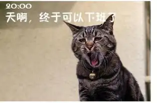 喵喵上班族的一天中枪的香油请举手
