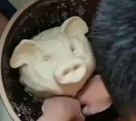 儿子想吃饺子,妈妈让他和面,儿子之后的操作搞笑
