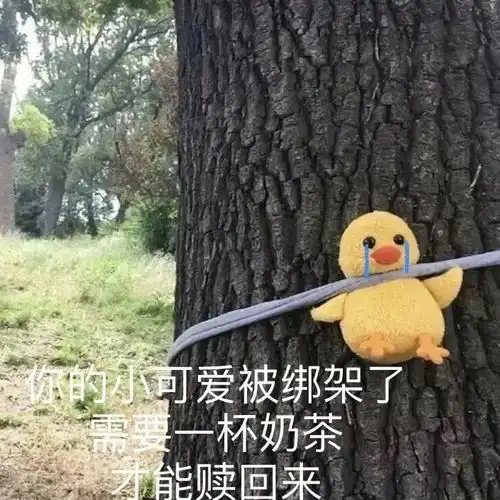 表情包我只知道什么是饭
