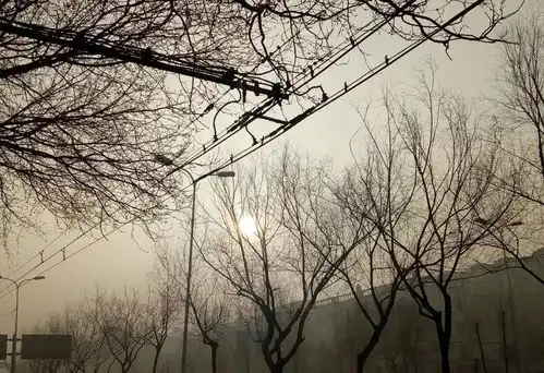 雾霾加重哈尔滨没能等来雪,重污染天气仍将持续
