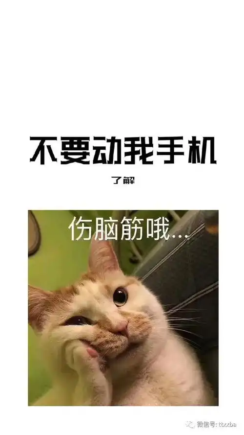 爆笑经典妹子搞笑冷笑话,工厂妹子一枚夜班,一天跟同事一起出去吃饭我先吃好就出来
