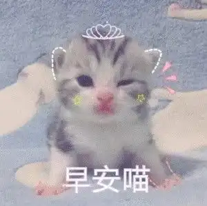 早安表情包合集
