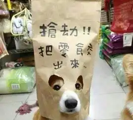 搞笑gif趣图妹子过分了,狗子被埋一脸的不情愿
