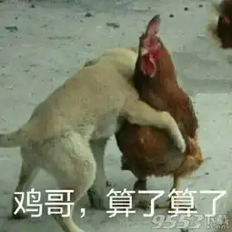 算了算了搞笑表情包下载算了算了表情包完整版下载9553下载

