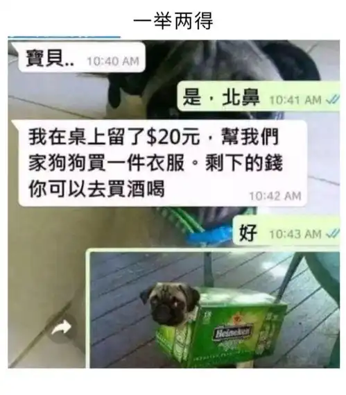 轻松一刻搞笑图片大放送
