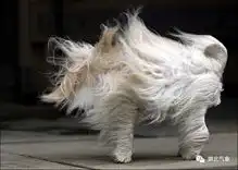 冷空气节后开工降温雨水北风
