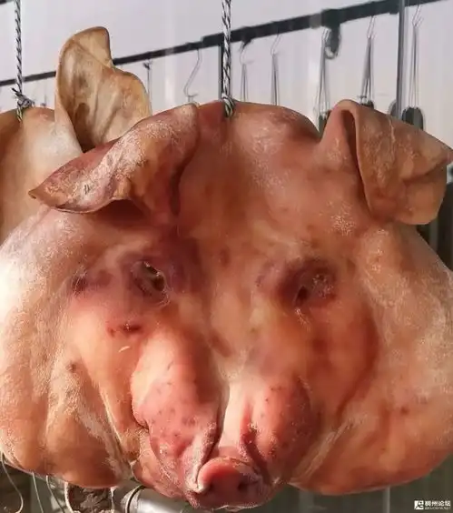 义乌人花式炫富腊肉猪头香肠家家都不简单
