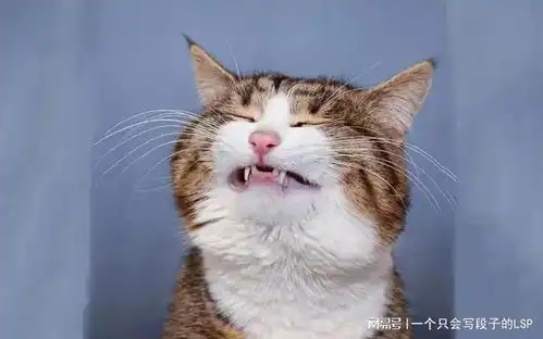 搞笑gif每日搏一笑
