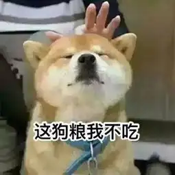 范伟冯远征和车永莉在一家茶馆汇合了,他们这是要搞大事情
