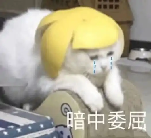 今天,你的专业被亲戚盘了吗
