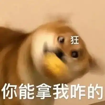 表情包二十六
