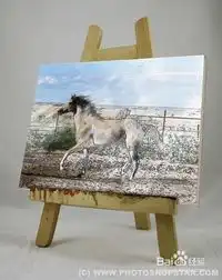 使用photoshop把照片变成油画
