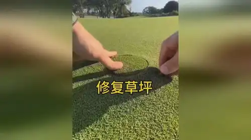 修复草坪也太有趣了吧
