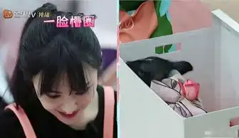 张恒七夕节给郑爽送猪,引人爆笑,网友直男脑回路清奇
