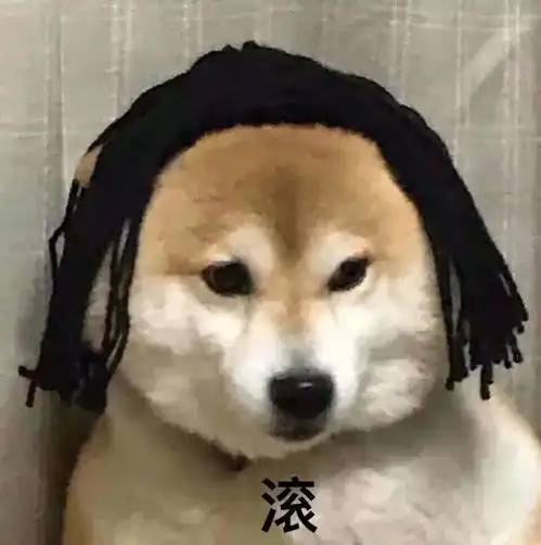 本周热门表情图片
