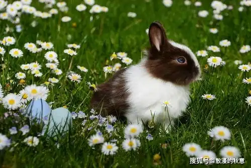 杨万里抓蝉的一首诗,短短28字通俗有趣,诗中经历农村人都有过
