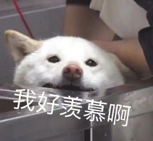 神武天下收藏120级的装备比150级毕业装都牛,这就很离谱
