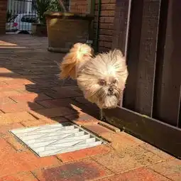 不是我看扁你这些光学错觉你认不出三个

