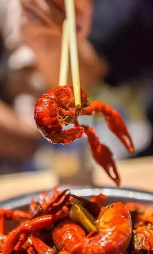 湖北有城其名潜江,论小龙虾,这里才是中国第一

