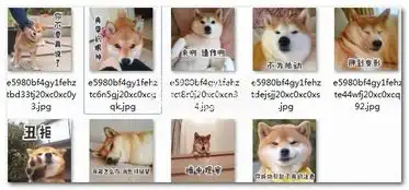柴犬带字图片表情包柴犬搞笑表情官方中文版软件下载
