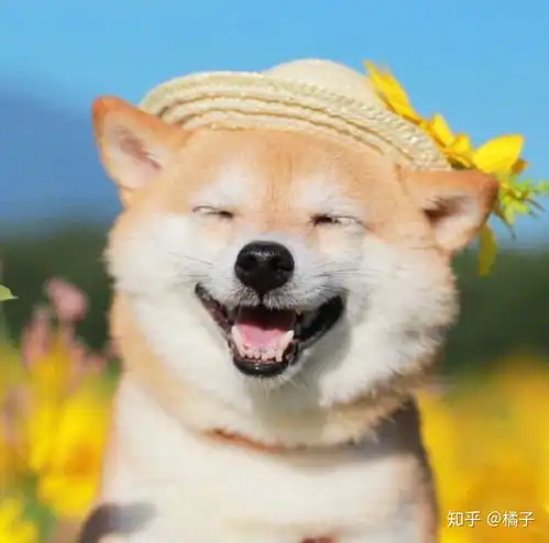 想和家人聊天但是聊不起来怎么办
