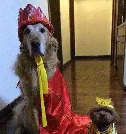 幽默笑话买了一个扫地机器人,有一天不见了
