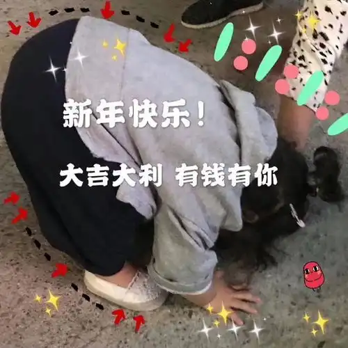 新年快乐表情包图片合集
