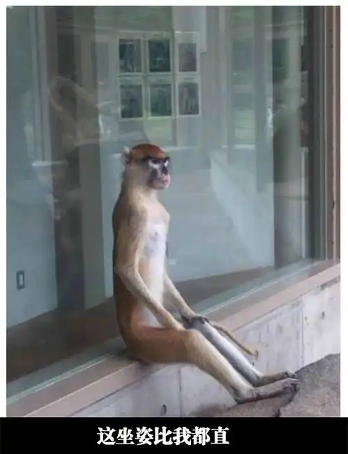 搞笑精彩的搞笑图片每日一笑第四期
