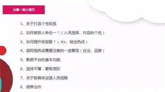 华少新媒体社会化品牌运营实操干货
