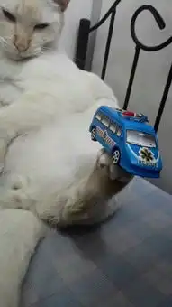 搞笑趣图
