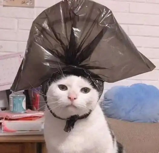 三编丨这个洗衣粉扭扭哒哒花里胡哨的能把衣服洗干净吗
